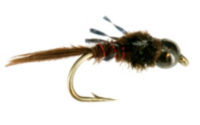 Nymphs